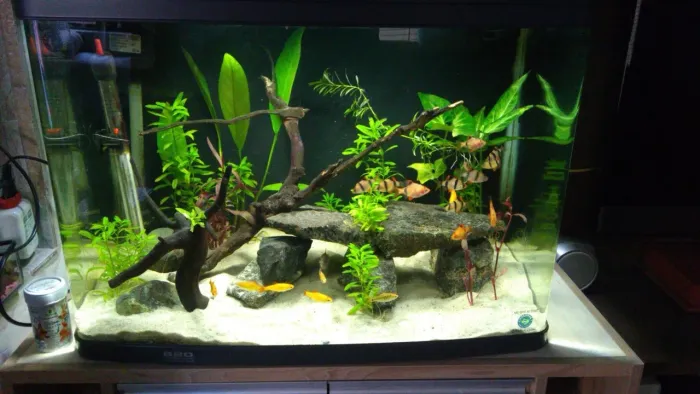 Aquário atman Ar-f620