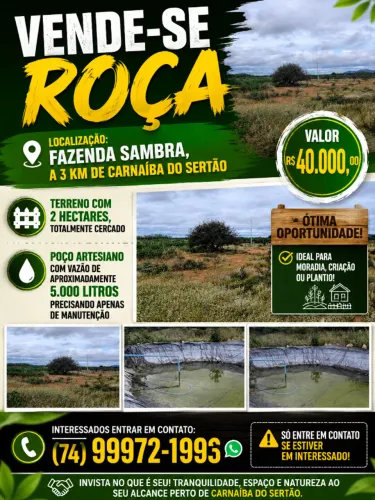 Vende-se roça em Carnaíba do sertão, o terreno tem 2 hectares 