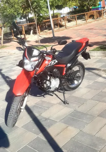 Bross único dono
