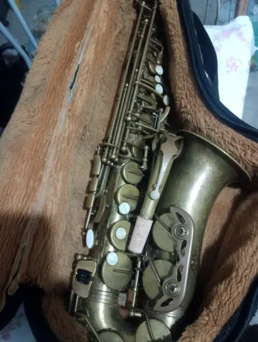 Saxofone Shelter 