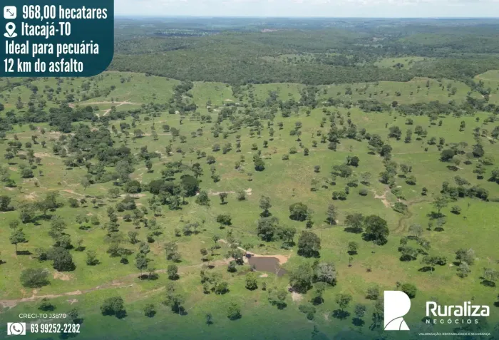 Fazenda em ItacajáTO | 200 Alqueires | Pecuária | Próxima ao Asfalto
