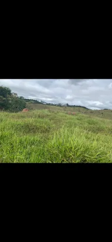 Arrendo pasto para pecuária ou plantio