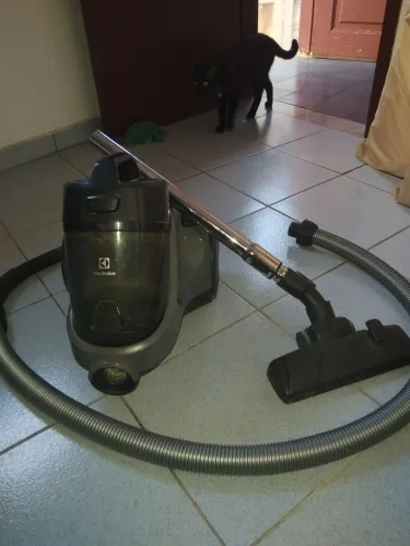 Aspirador de po sem saco eletrolux 1600w Easybox silencioso com filtro hepa preto (EAS 30)