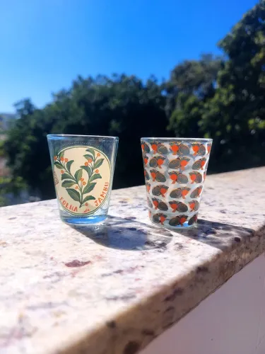 Copos de shot da FARM 