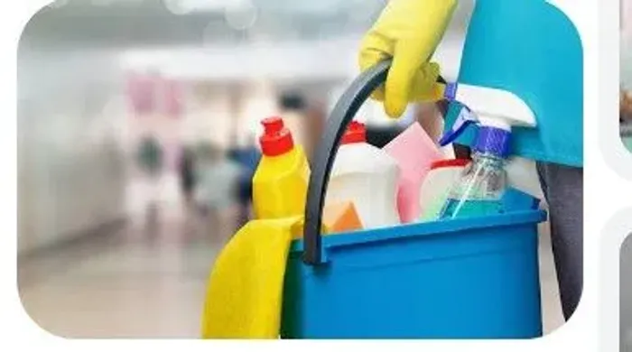 Domestica