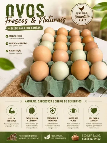 Ovos férteis