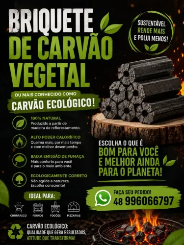 Briquete de carvão, carvão ecológico 