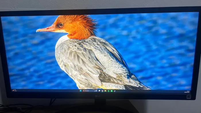Monitor LG UltraWide 26'' IPS Full HD 2560x1080 75Hz 1ms