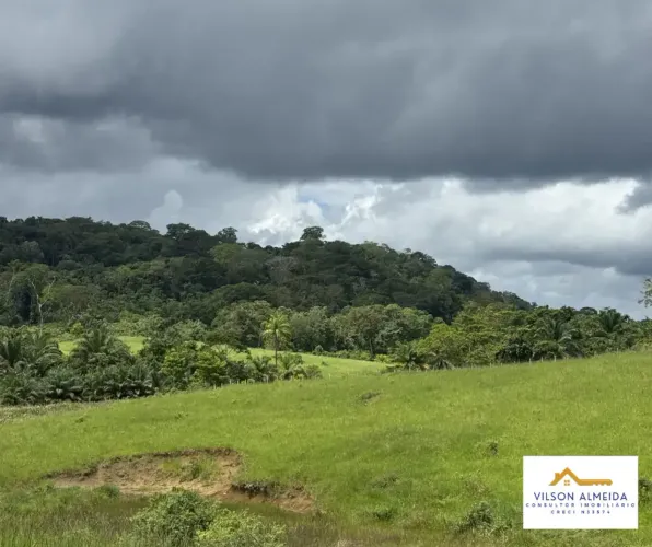Áreas à venda, ZONA RURAL, Ubatã, BA