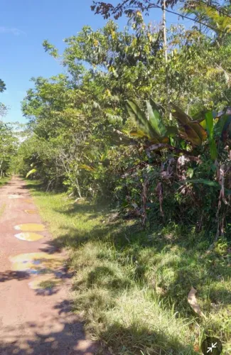 Terreno no Genipaúba