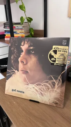 Combo LP Vinil Gal Costa (1969 + Tuareg)