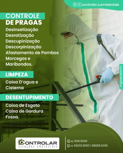 DEDETIZAÇÃO - CUPIM RATOS MORCEGOS POMBOS BARATAS FORMIGAS CARRAPATOS