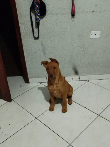 Doação