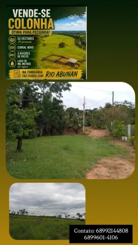 Vendo está colônia