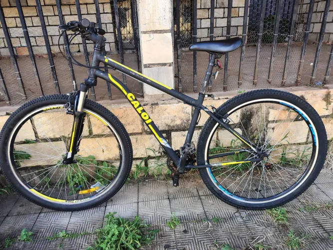 Bicleta caloi aro 29