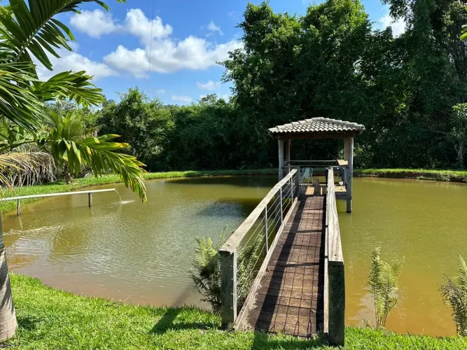 Fazenda 15.5 alqueires - Goianápolis - GO