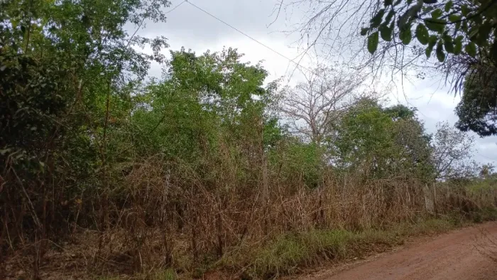 Vende-se terreno
