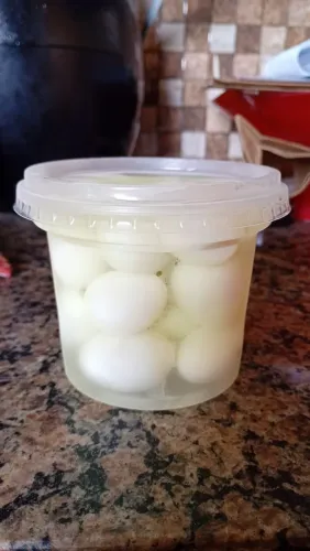 Ovos de codorna