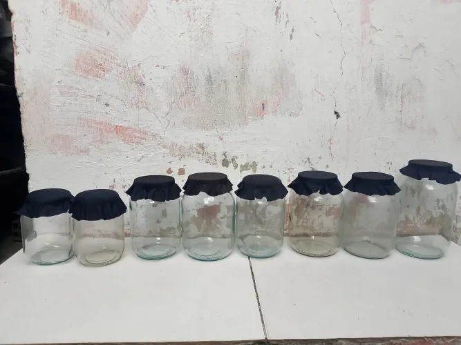 08 Potes de mantimentos de vidro