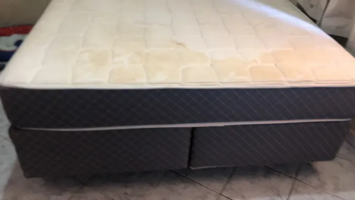 Cama