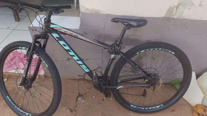 Bicicleta Lótus Aro 29
