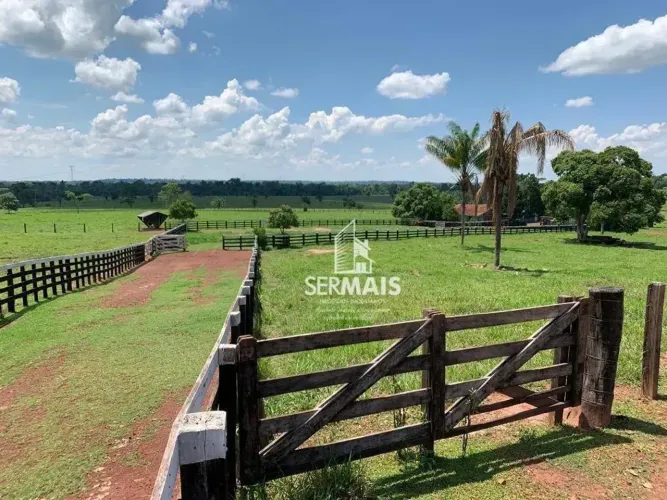 Em Rondônia / Fazenda de dupla aptidão ???? disponível P/ Venda. * São 376.5 hectares (155