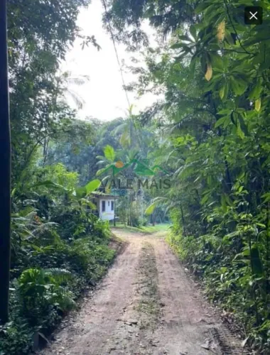 Terreno à venda, 1484 m² por R$ 200.000,00 - Mato Dentro - Ubatuba/SP