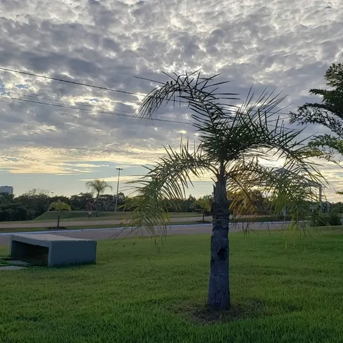 Lote condomínio florais dos lagos