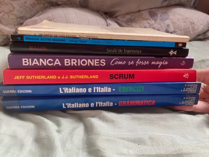 Livros Diversos (vendo separado e em lote)