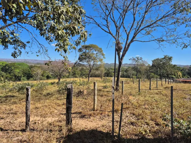 A&M IMOVEIS VENDE FAZENDA COM 25 ALQUEIRES NA BEIRA DO RIO SALINAS