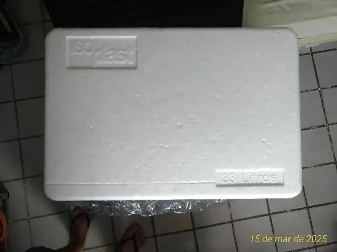 CAIXA TÉRMICA isopor 33L COM ALÇA Isoplast