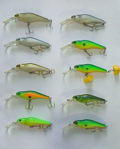 Iscas evergreen Spin move shad