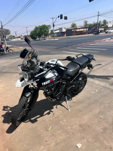 Tiger 800 xcx ágio 