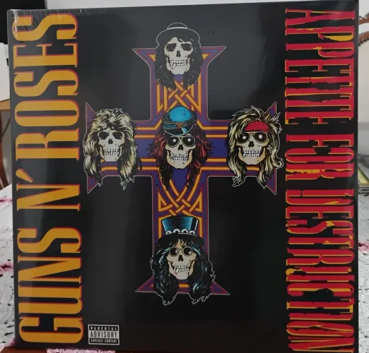 LP Guns N' Roses