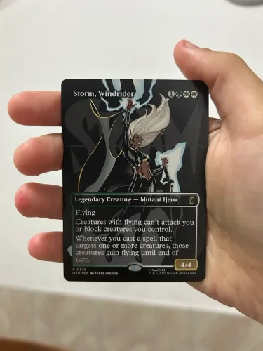 Carta Magic: Storm, Windrider