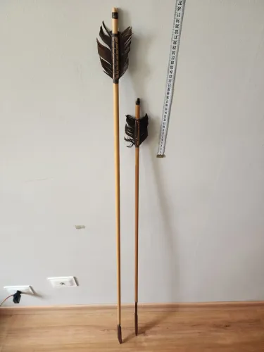 Flechas/lança indígena