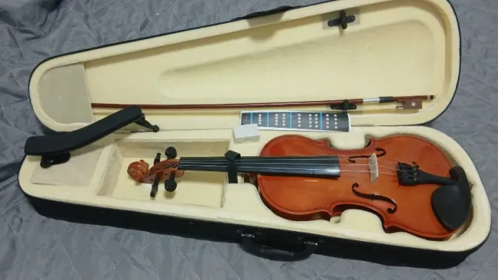Violino para iniciantes