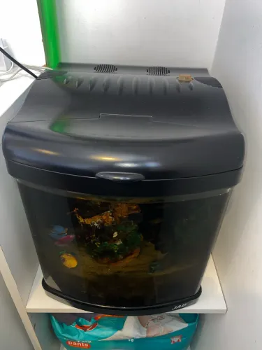 Aquário jade sem luminária 