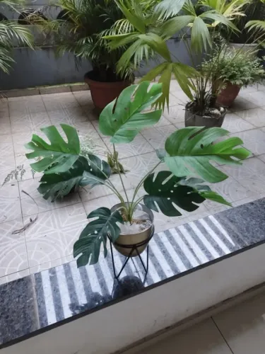 ? Planta Artificial Costela-de-Adão com Suporte Decorativo