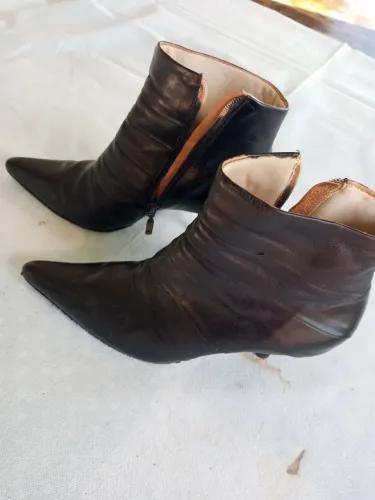 Bota