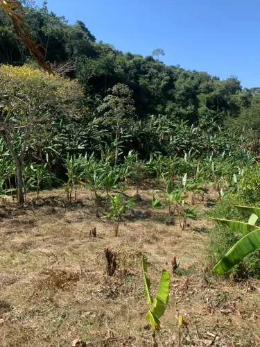 Terreno/Lote em Serra de Pacoti