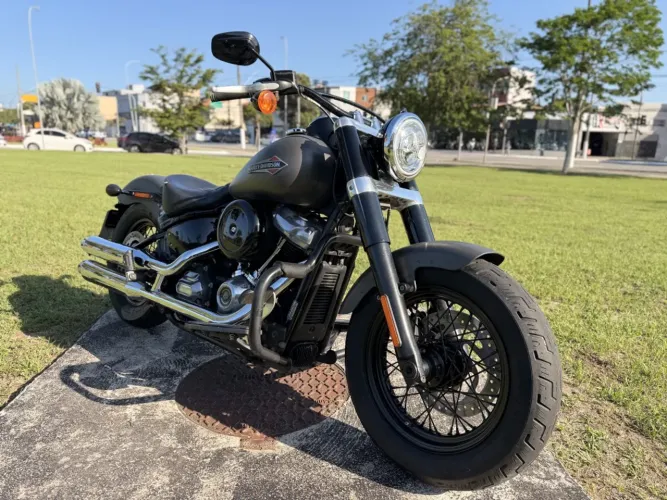 Harley-davidson Softail slim flsl 2018