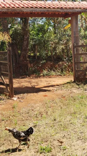 Chácara em Munhoz , fechado com alguns itens