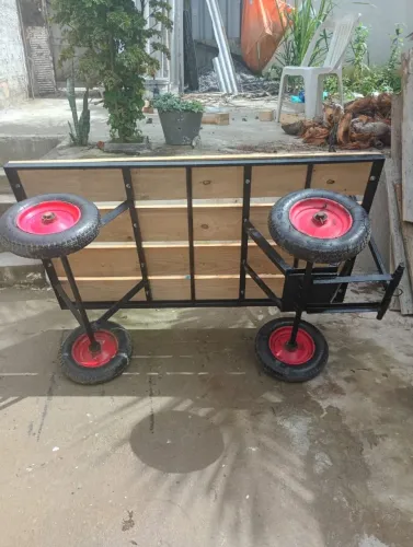 Burrinha carro prancha no Precinho!!!!