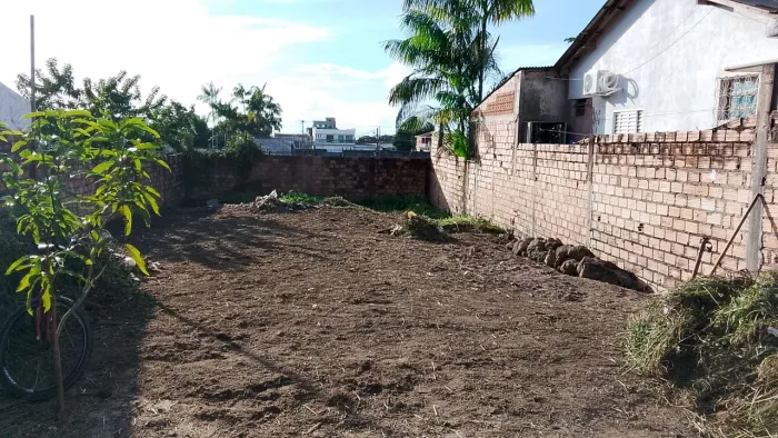 Limpeza de terrenos...