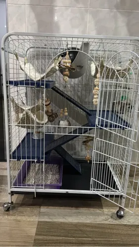 Gaiola luxo habitat da American Pets 