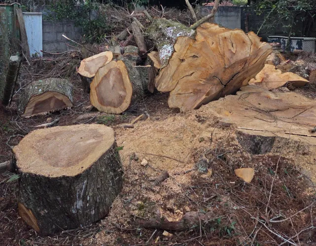 Madeira para Moveis Rusticos