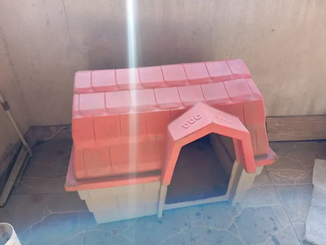 Casinha pra pet