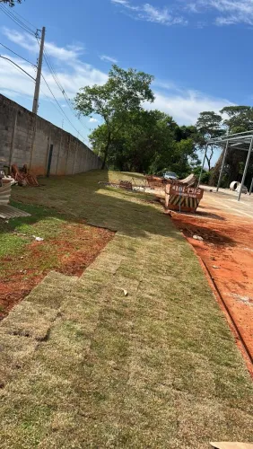 Plantio de grama