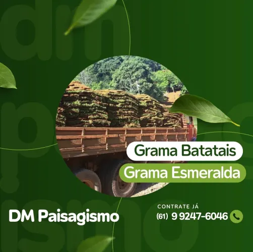 Planta-se Grama ?